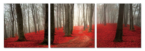 acrylic print peter lik 