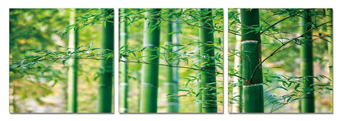 big bamboo prints 
