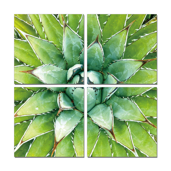 modern flower picture print