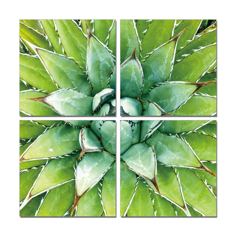 modern flower picture print