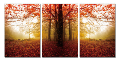 amazing modern picture of fall 