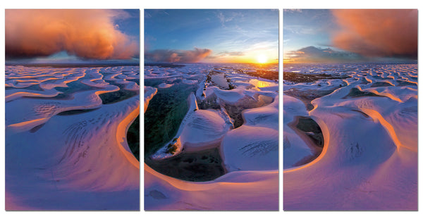 purple photography