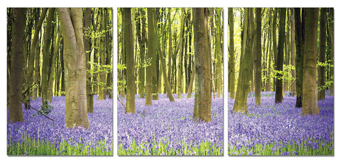 cheap modern pictures